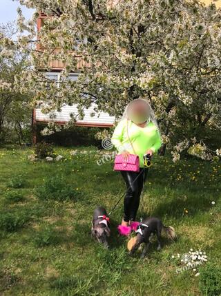 Alicja VIP Wyjazdy - Ogłoszenie towarzyskie Gdańsk