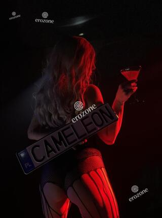 Wyjazdy Cameleon Club - Ogłoszenie towarzyskie Limanowa