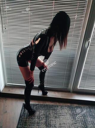 Wild Cat !!! Wyjazdy !!! - Ogłoszenie towarzyskie Szczecin