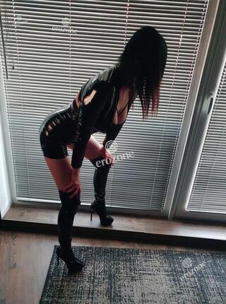 Wild Cat !!! Wyjazdy !!! - Ogłoszenie towarzyskie Szczecin