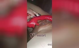 Drapieżna Suczka - Ogłoszenie towarzyskie Łódź #6