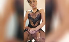Leticia lux - Ogłoszenie towarzyskie Katowice #19